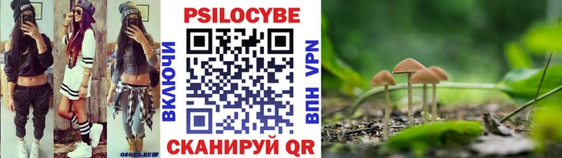 kraken ССЫЛКА  Брюховецкая  Галлюциногенные грибы GOLDEN TEACHER 